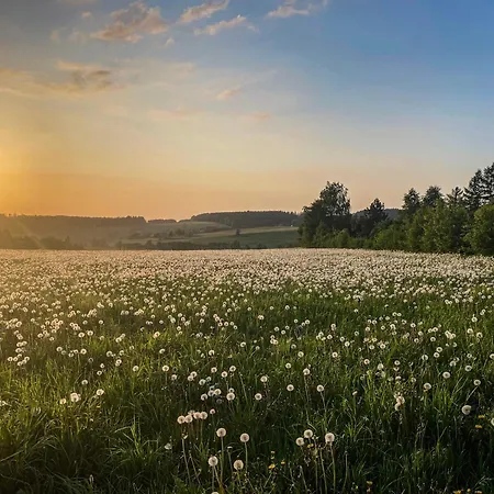 Mit Sauna - Kleines Zur Ofenschenke Otel
